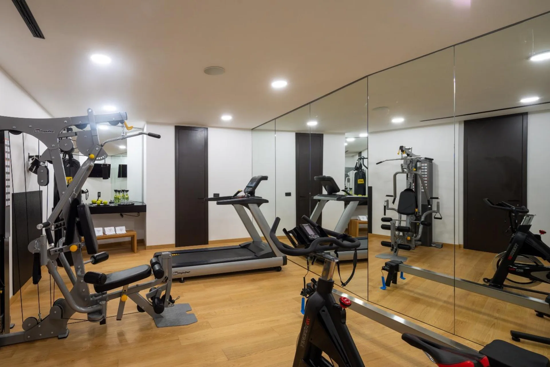 Private gym with mirrors and equipment at Villa Palazzo